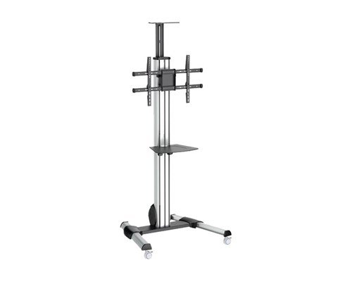 Startech Mobile Stativ Höjdjusterbart - 32" - 70"