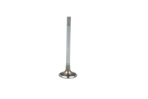 Insugsventil, AUDI,SEAT,SKODA,VW, 03L109601, 04L109601B