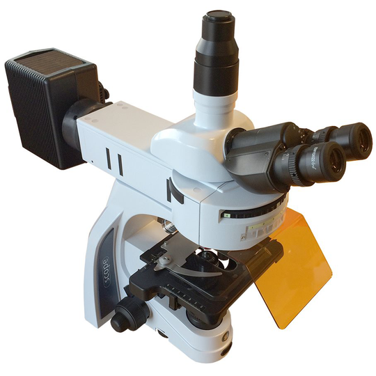 Fluorescensmikroskop Euromex iScope 40, 100, 400 och 1000x