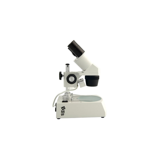 Stereolupp BMS 10-30x - LED