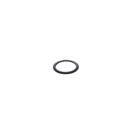 TS-Optics 2 tum filteradapter till objektiv med 54 mm gänga