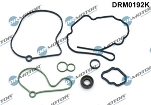 Packningssats, undertryckspump, AUDI,FORD,SEAT,SKODA,VW, 038145209A