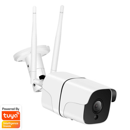 Denver SHO-110 WLAN-kamera, mörkerseende