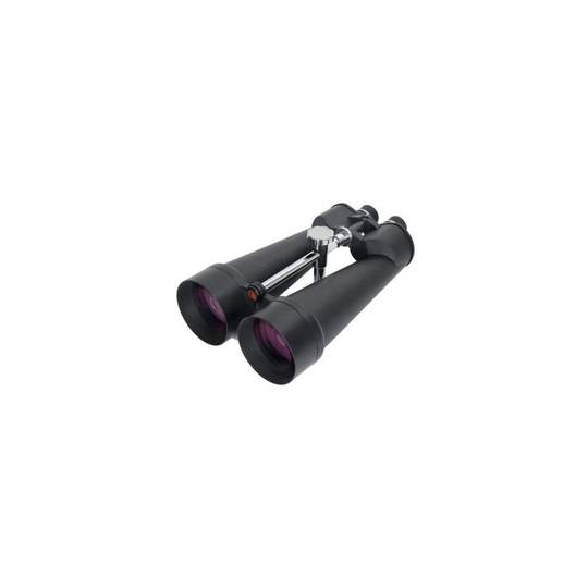 Celestron Skymaster 25x100