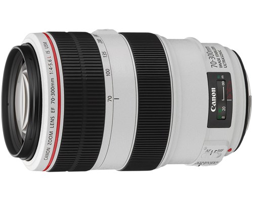 Canon Ef 70-300/4.5-5.6 L Is Usm