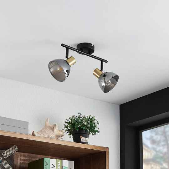 Lindby Aniol takspotlight, 2 lampor